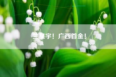 兰星宇！广西首金！