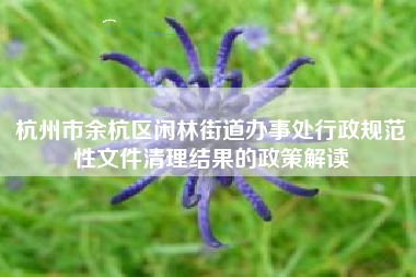 杭州市余杭区闲林街道办事处行政规范性文件清理结果的政策解读