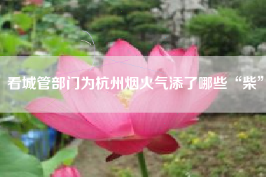 看城管部门为杭州烟火气添了哪些“柴”