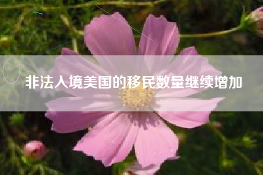 非法入境美国的移民数量继续增加
