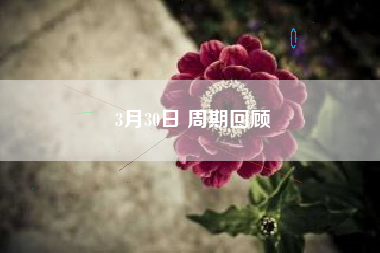 3月30日 周期回顾