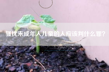 骚扰未成年人儿童的人应该判什么罪？