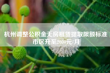 杭州调整公积金无房租赁提取限额标准 市区升至2000元/月