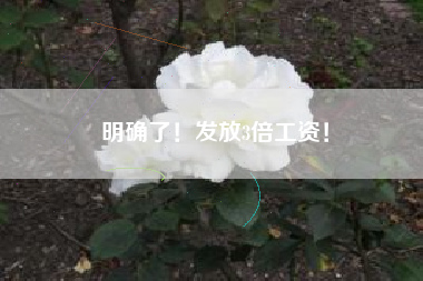 明确了！发放3倍工资！