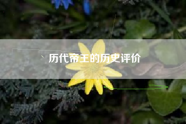 历代帝王的历史评价