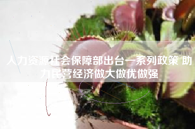 人力资源社会保障部出台一系列政策 助力民营经济做大做优做强