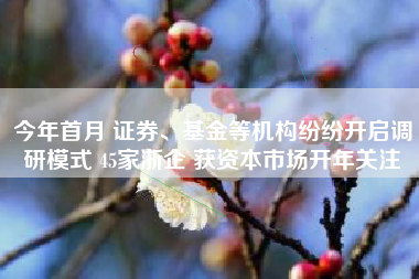 今年首月 证券、基金等机构纷纷开启调研模式 45家浙企 获资本市场开年关注