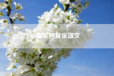 雷军回复张颂文