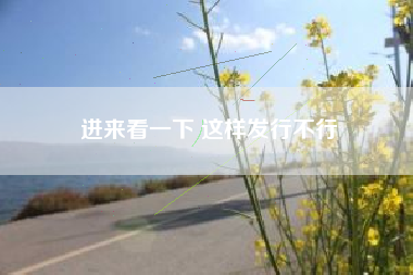 进来看一下 这样发行不行