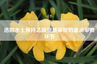洛阳水土保持乙级资质审批的重点审查环节