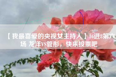 【我最喜爱的央视女主持人】16进8第六场 龙洋VS管彤，快来投票吧