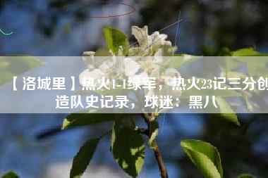 【洛城里】热火1-1绿军，热火23记三分创造队史记录，球迷：黑八