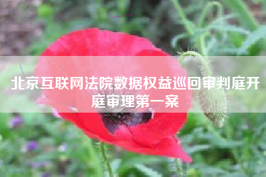 北京互联网法院数据权益巡回审判庭开庭审理第一案