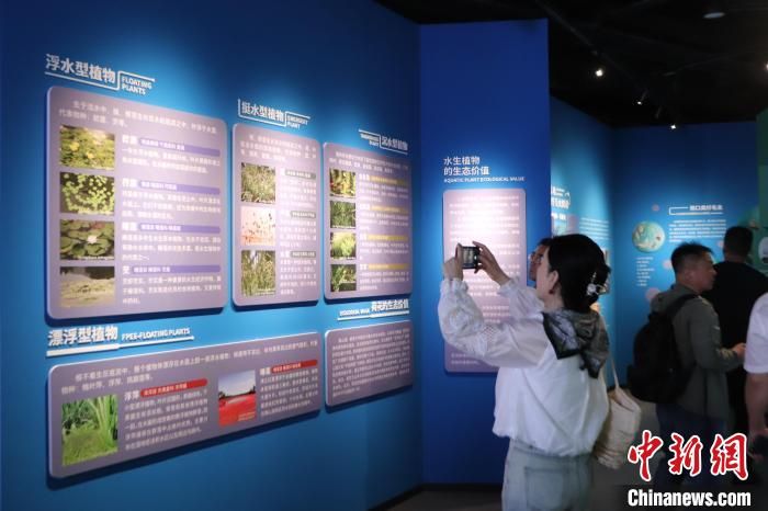 山东举办2024年国际生物多样性日宣传活动 揭秘生物多样性“家底” 山东举办2024年国际生物多样性日宣传活动 揭秘生物多样性“家底”