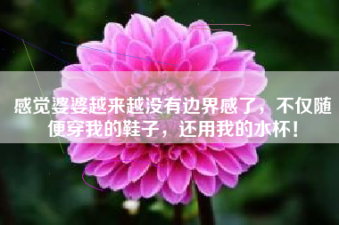 感觉婆婆越来越没有边界感了，不仅随便穿我的鞋子，还用我的水杯！