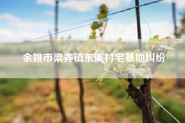 余姚市梁弄镇东溪村宅基地纠纷