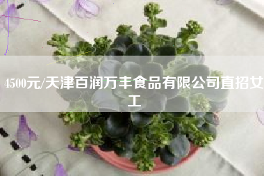 4500元/天津百润万丰食品有限公司直招女工