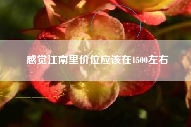 感觉江南里价位应该在1500左右