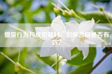 借贷行为构成犯罪时，担保合同是否有效？