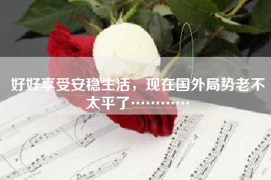 好好享受安稳生活，现在国外局势老不太平了…………
