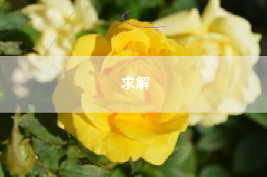 求解