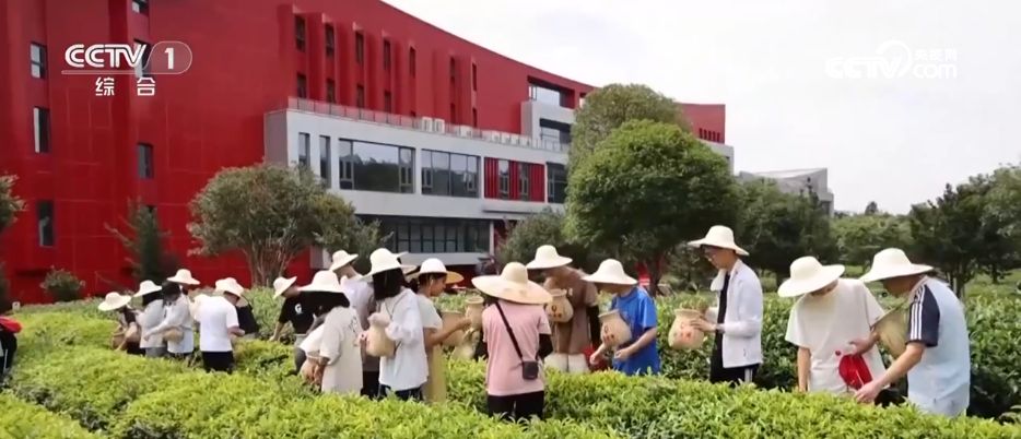 升级、扩大、培育、创新……透过关键词看懂消费提升行动