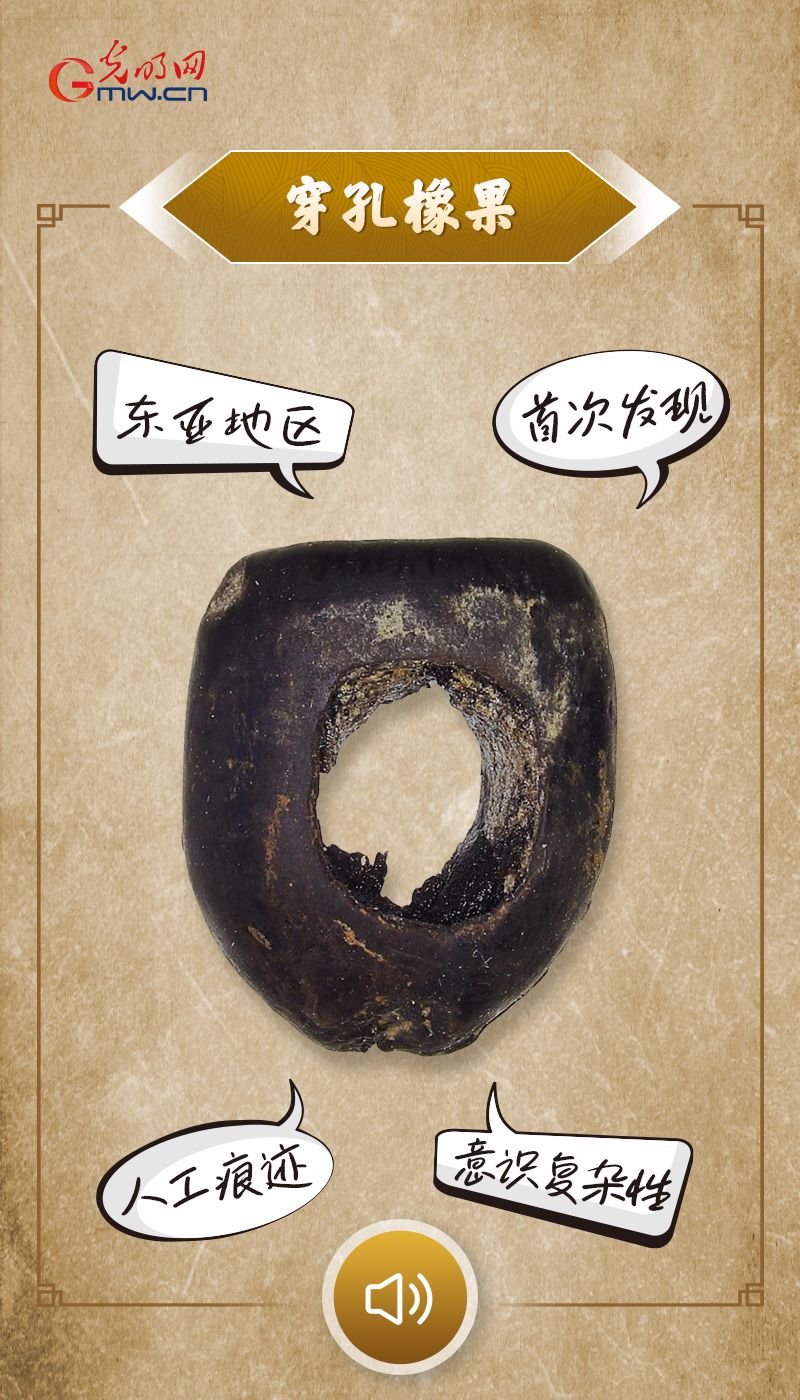 “文物会说话”有声海报|透过穿孔橡果,来看古人类的精神世界 “文物会说话”有声海报|透过穿孔橡果,来看古人类的精神世界